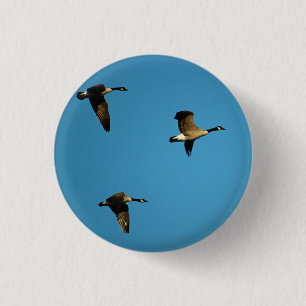 Badge Rond 2,50 Cm oies canadiennes en vol
