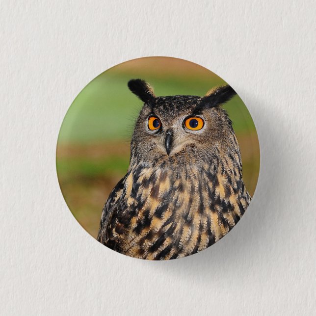 Badge Rond 2,50 Cm Oiseau de Chouette (Devant)