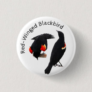 Badge Rond 2,50 Cm Oiseau noir à ailes rouges