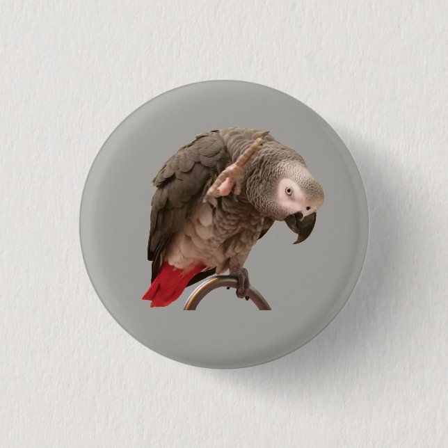 Badge Rond 2,50 Cm Ondulation de perroquet d'Einstein (Devant)