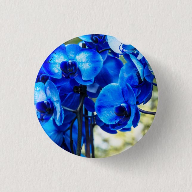 Badge Rond 2,50 Cm Orchidées bleues (Devant)