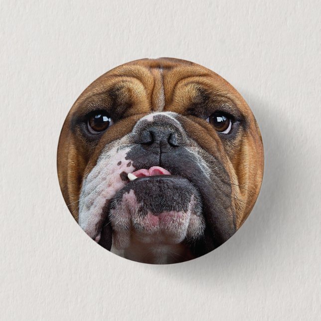 Badge Rond 2,50 Cm Oreillers à lancer de Bulldog anglais (Devant)