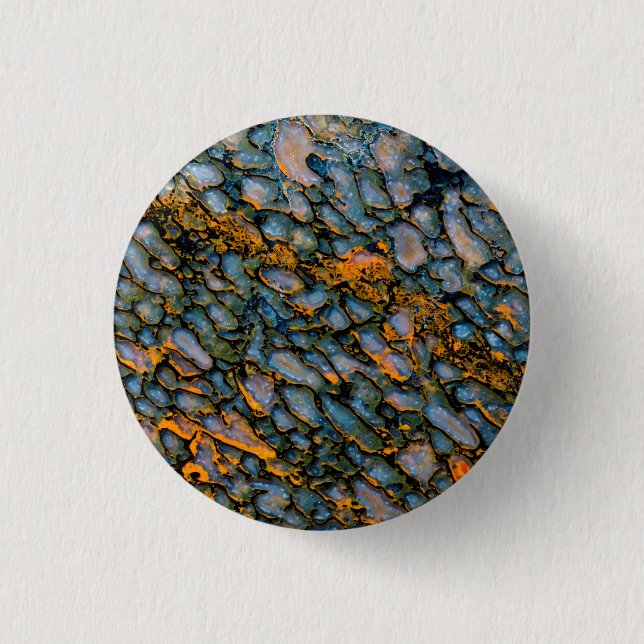 Badge Rond 2,50 Cm Os de dinosaure pétrifié (Devant)