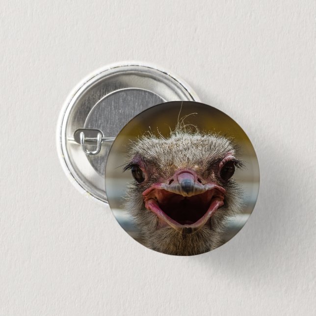 Badge Rond 2,50 Cm Ostrich Face Gros plan (Devant & derrière)