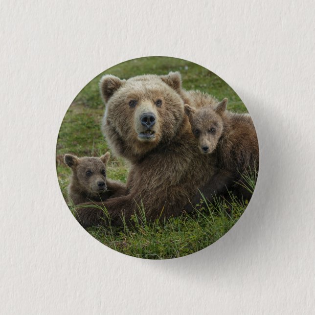 Badge Rond 2,50 Cm Ours bruns oursons câlinant leur mère (Devant)