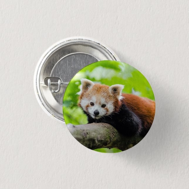 Badge Rond 2,50 Cm Panda rouge (Devant & derrière)