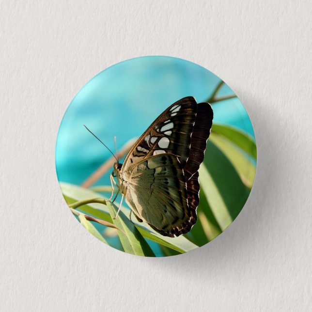 Badge Rond 2,50 Cm Papillon Brown - Ailes fermées (Devant)