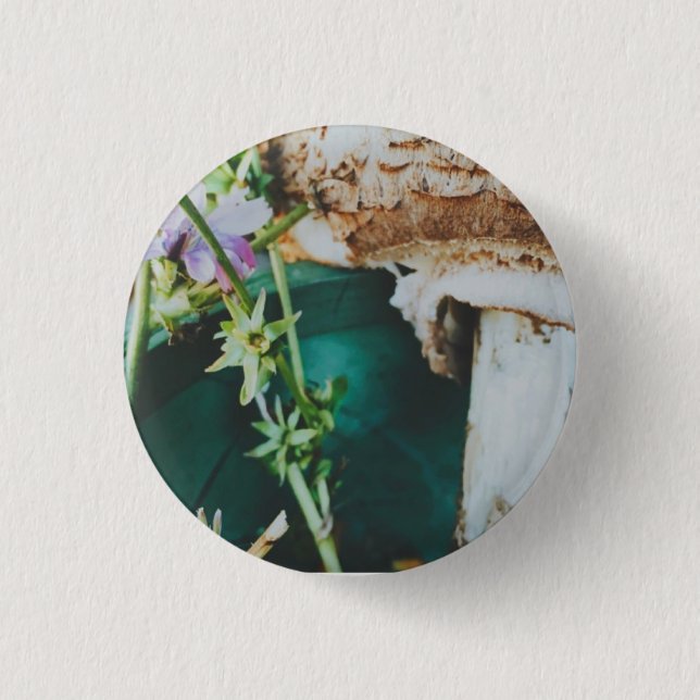 Badge Rond 2,50 Cm Parasol mushroom, Swedish Archipelago, Sweden (Devant)