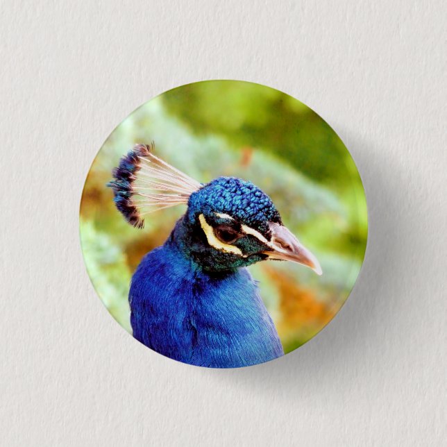 BADGE ROND 2,50 CM PEACOCK (Devant)