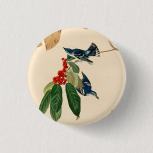 Badge Rond 2,50 Cm Peinture vintage Audubon Cérulean Paruline
