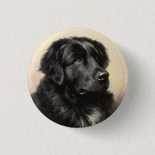 Badge Rond 2,50 Cm Peinture vintage réaliste pour chien de Terre-Neu