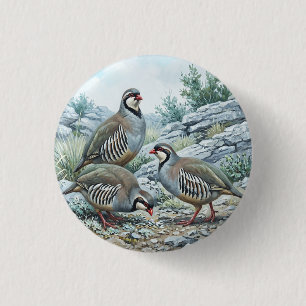 Badge Rond 2,50 Cm Perdrix bartavelle ,Alectoris Graeca Oiseaux de Ch