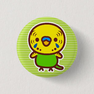 Badge Rond 2,50 Cm Perruche ondulée / Mâle normal