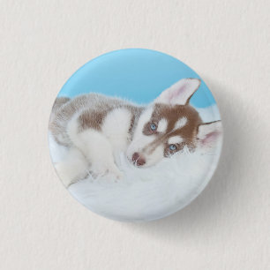 Badge Rond 2,50 Cm Petite marionnette Husky posée sur une couverture