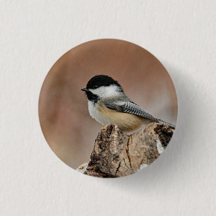 Badge Rond 2,50 Cm Photo Black Capped Chickadee Snow