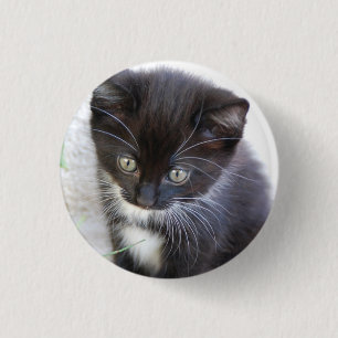 Badge Rond 2,50 Cm Photo de chaton noir et blanc