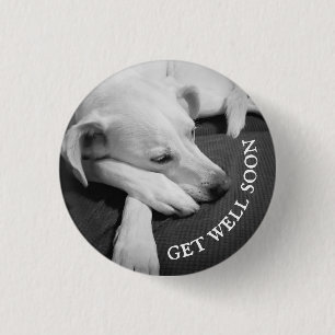 Badge Rond 2,50 Cm Photo en noir et blanc d'un beau chien dormant