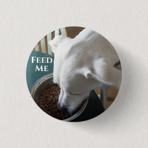 Badge Rond 2,50 Cm Photo mignonne de chien affamé qui ne peut pas att