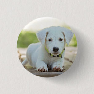 Badge Rond 2,50 Cm Photo personnalisée pour animal de compagnie