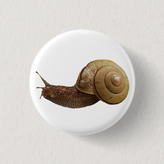 Badge Rond 2,50 Cm photo réelle d'escargot