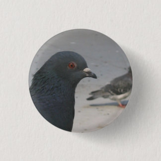 Badge Rond 2,50 Cm Pigeon