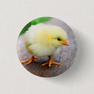 Badge Rond 2,50 Cm Pin de poussin