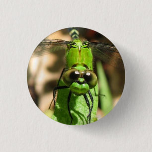Badge Rond 2,50 Cm Pin d'Eco "de dragon vert"