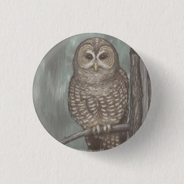 Badge Rond 2,50 Cm Pin repéré de hibou (Devant)