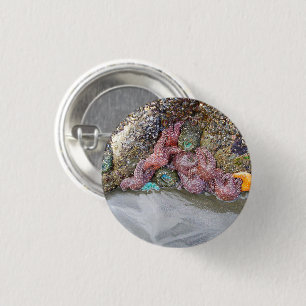 Badge Rond 2,50 Cm Piscine à marée, plage de Ruby, parc national olym
