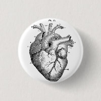 Poignée du bouton Diagramme du coeur humain anatom