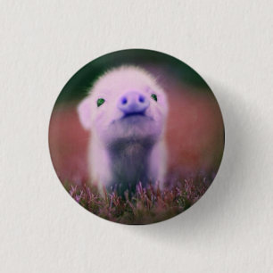 Badge Rond 2,50 Cm porc drôle