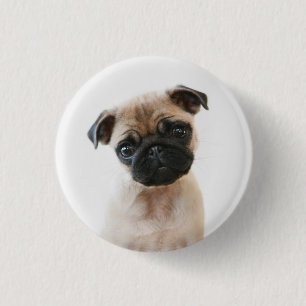 Badge Rond 2,50 Cm Portrait Carlin bébé