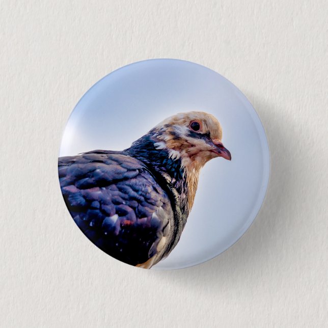 Badge Rond 2,50 Cm Portrait de Pigeon (Devant)