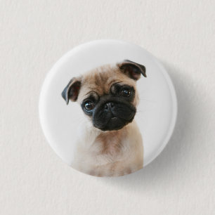 Badge Rond 2,50 Cm Portrait du Carlin pour bébés