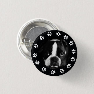 Badge Rond 2,50 Cm Pot Chien Chien Chien Photo Patrouilles Cadre Broc