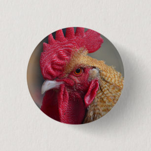 Badge Rond 2,50 Cm Poulet de coq