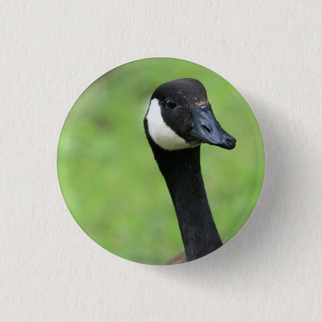 Badge Rond 2,50 Cm Quoi ? (Devant)