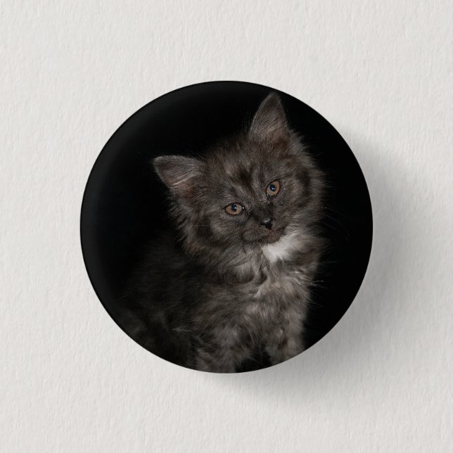 Badge Rond 2,50 Cm Ragdoll kitten ragdoll chat visage noir blanc chat (Devant)