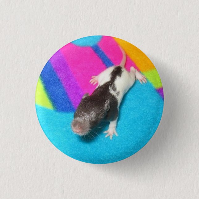 Badge Rond 2,50 Cm Rat à capuchon de bébé (Devant)