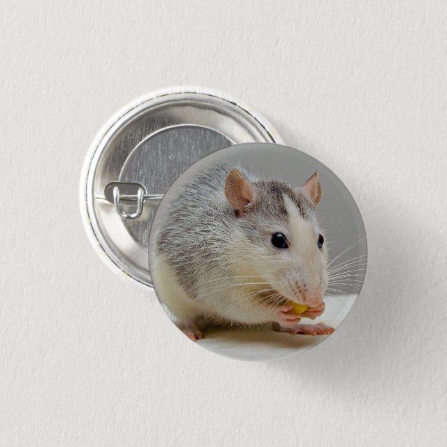 Badge Rond 2,50 Cm Rat gris et blanc (Devant & derrière)