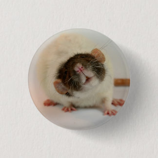 Badge Rond 2,50 Cm Rat noir dumbo