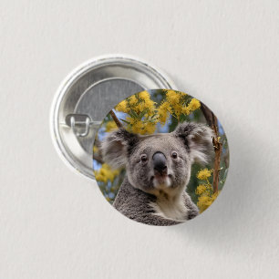 Badge Rond 2,50 Cm "Repose en or : Un Koala dans un arbre à bétail"