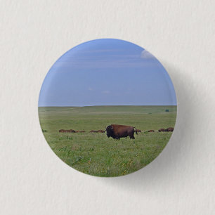 Badge Rond 2,50 Cm Réserve nationale des Prairies de Tallgrass - Kan