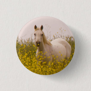 Badge Rond 2,50 Cm Ressort