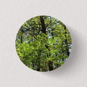 Badge Rond 2,50 Cm Ressource Feuille