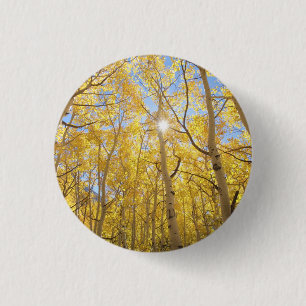 Badge Rond 2,50 Cm Résumé de Gilia parmi les fleurs sauvages   Califo