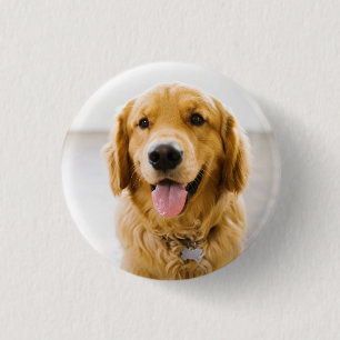 Badge Rond 2,50 Cm Retriever d'or souriant