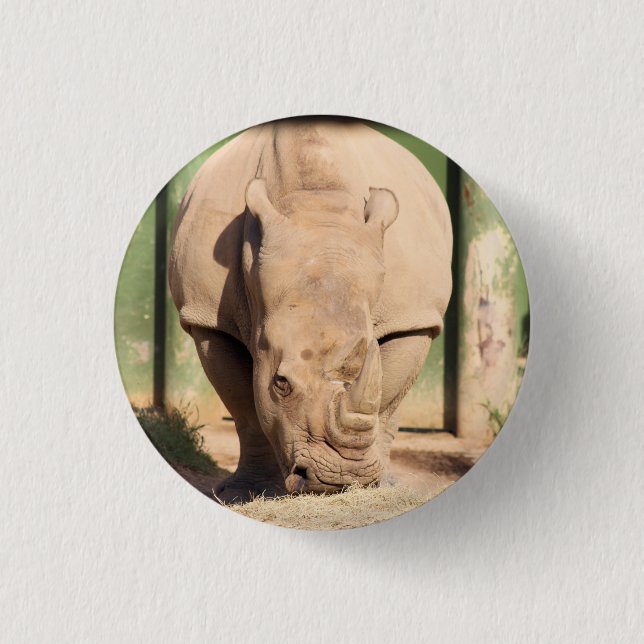 Badge Rond 2,50 Cm rhinocéros blanc (Devant)