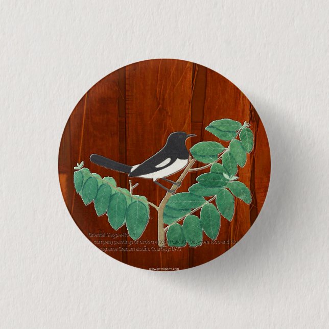 Badge Rond 2,50 Cm Robin à tarte orientale (Devant)