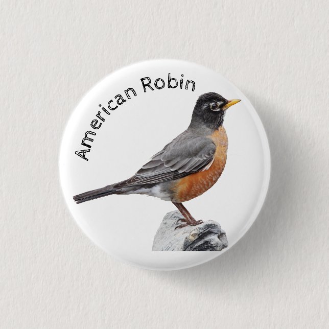 Badge Rond 2,50 Cm Robin américain (Devant)